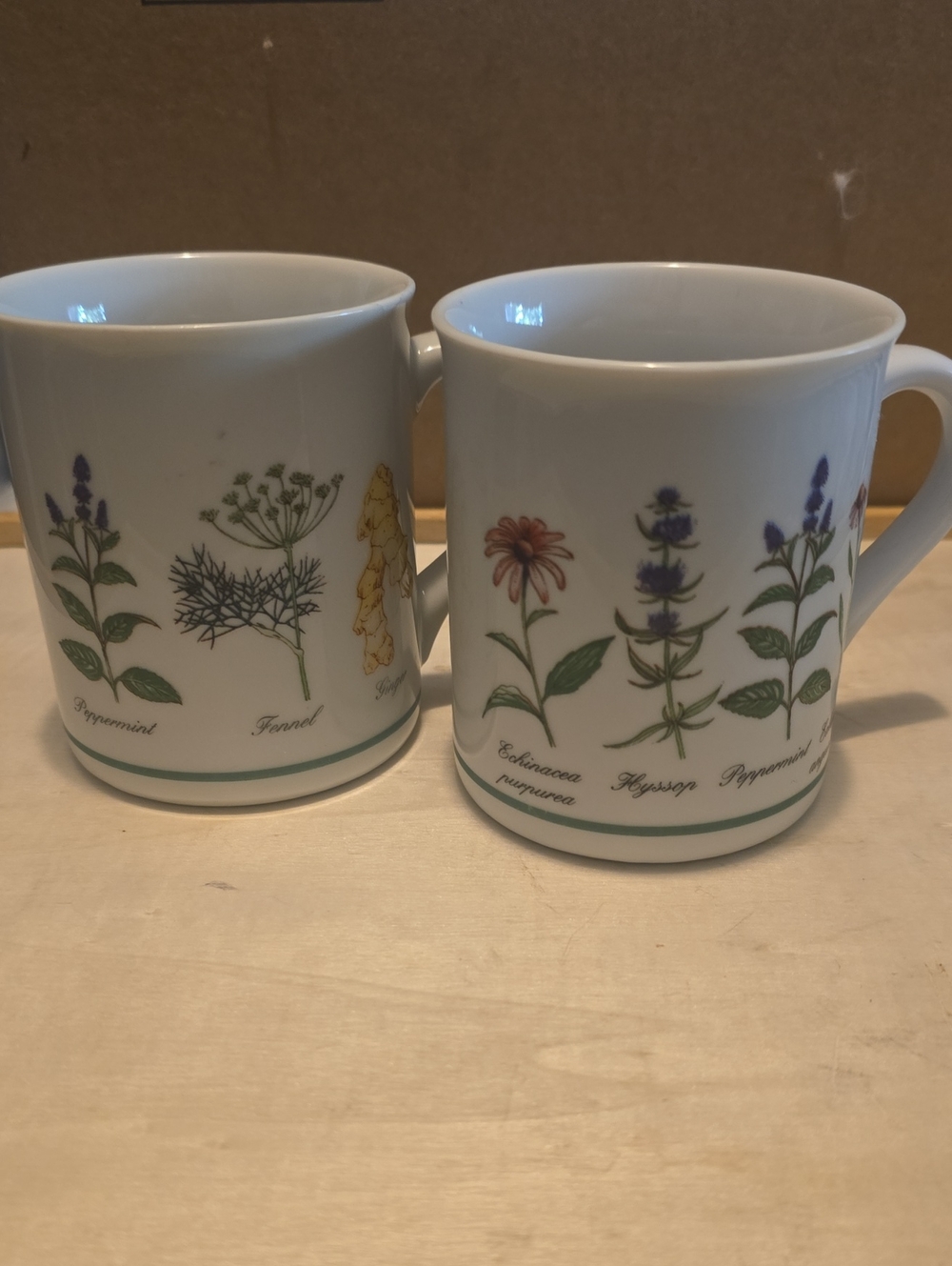 1994 Centennisl Celebration-Botanical Herb Ceramic Mug - White with Green Trim